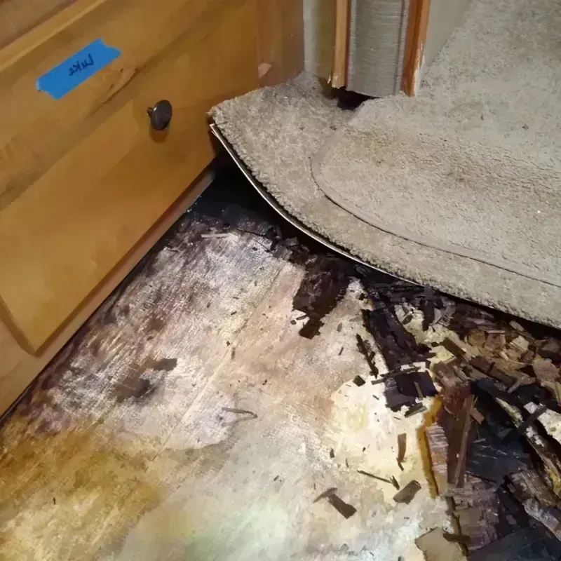 Wood Floor Water Damage in Moonachie, NJ